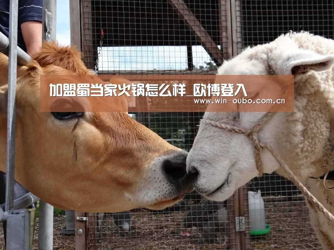 加盟蜀当家火锅怎么样_欧博登入