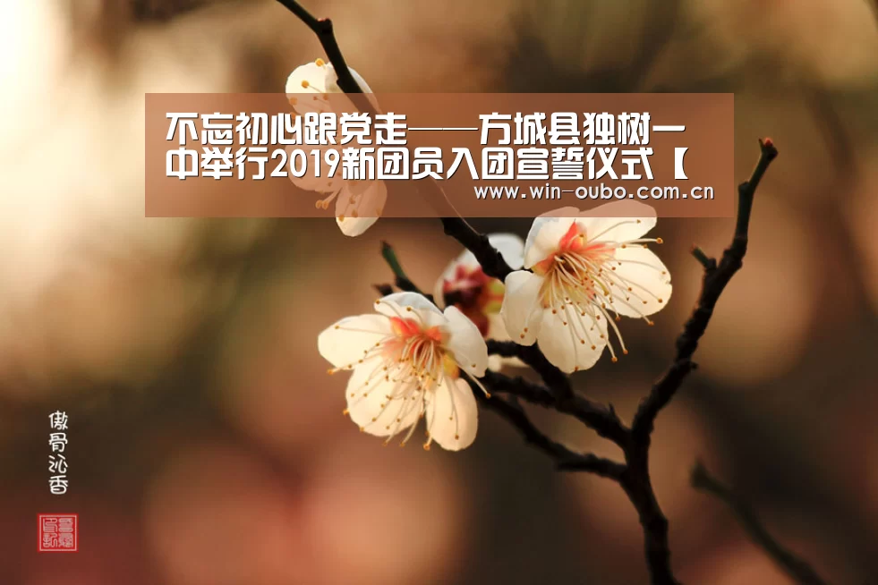 不忘初心跟党走——方城县独树一中举行2019新团员入团宣誓仪式【欧博登入】