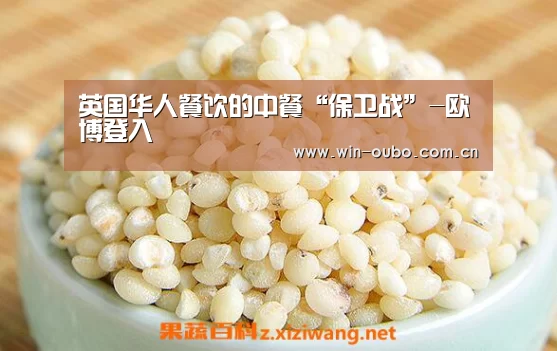 英国华人餐饮的中餐“保卫战”-欧博登入