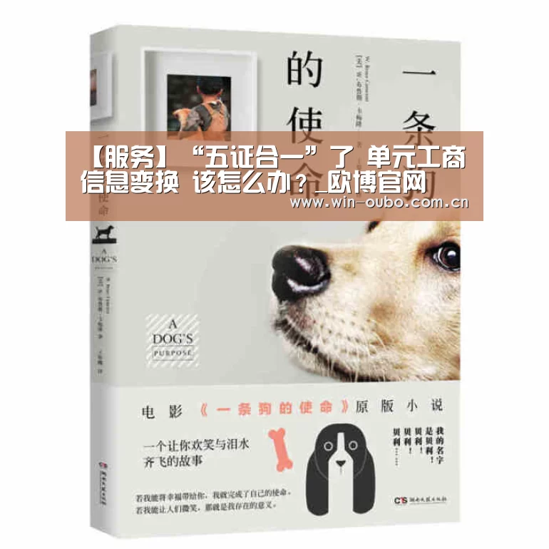 【服务】“五证合一”了 单元工商信息变换 该怎么办?_欧博官网(图3) 欧博官网