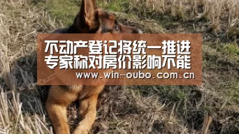 欧博官网