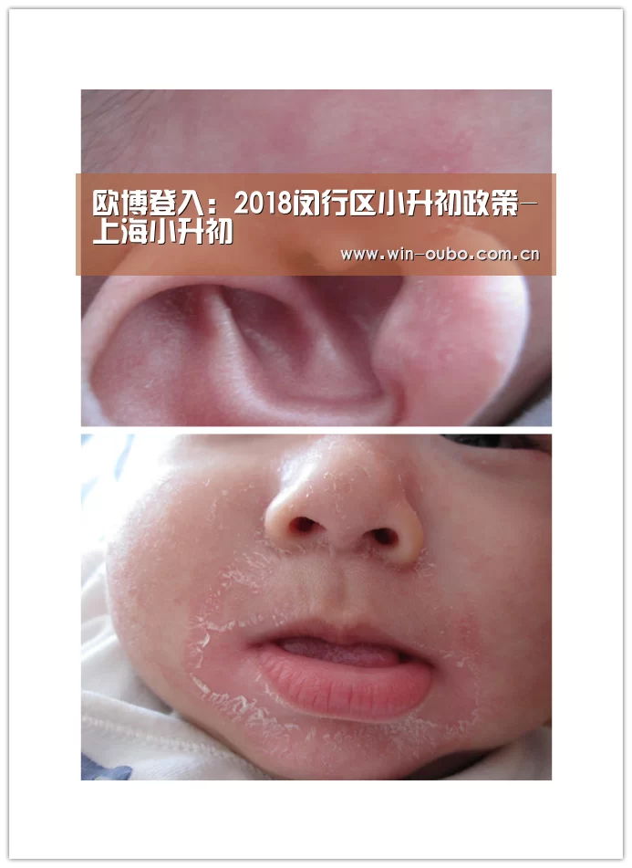 欧博登入